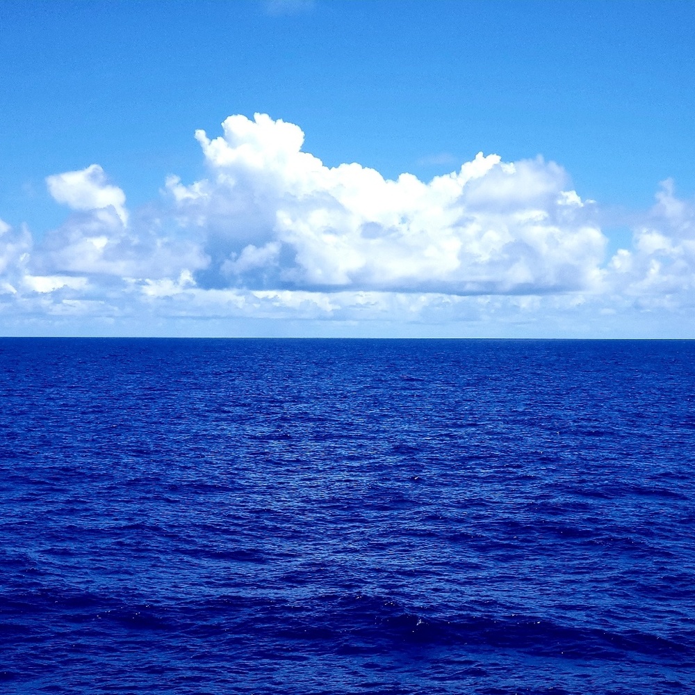 Meet your Posher, Kari